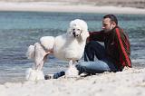 ADULTE ET CHIEN 120